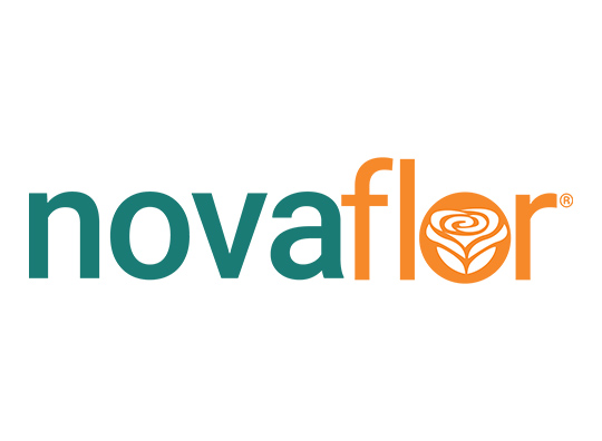 Logo nova flor
